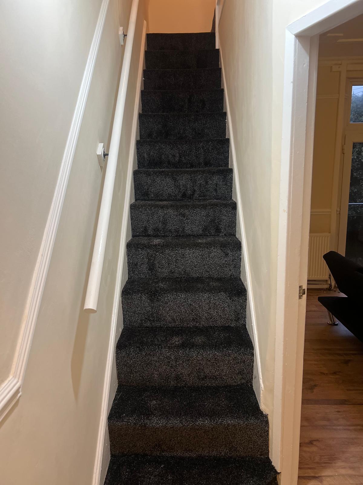 Recarpeted staircase connecting the converted rooms